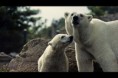 /album/schatige-dieren/a2790737036-2ca731e75a-jpg/