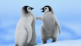 /album/schatige-dieren/best-top-desktop-animals-wallpapers-hd-animal-wallpaper-picture-image-photo-3-jpg/