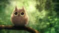 /album/schatige-dieren/cute-owl-mobyet-com-jpg/